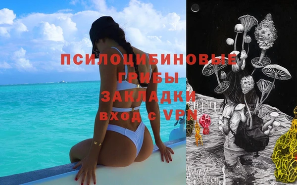 первитин Бородино