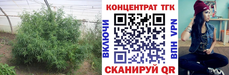 ТГК вейп  Мензелинск 