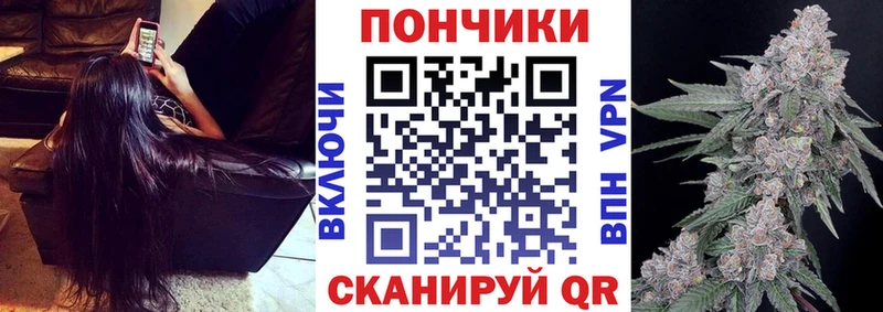 как найти закладки  Мензелинск  MEGA ссылка  Шишки марихуана сатива 